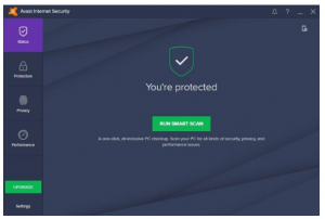 Avast! Professional Edition 4.6.744 serial key or number