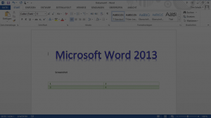 Office 2013 Activator
